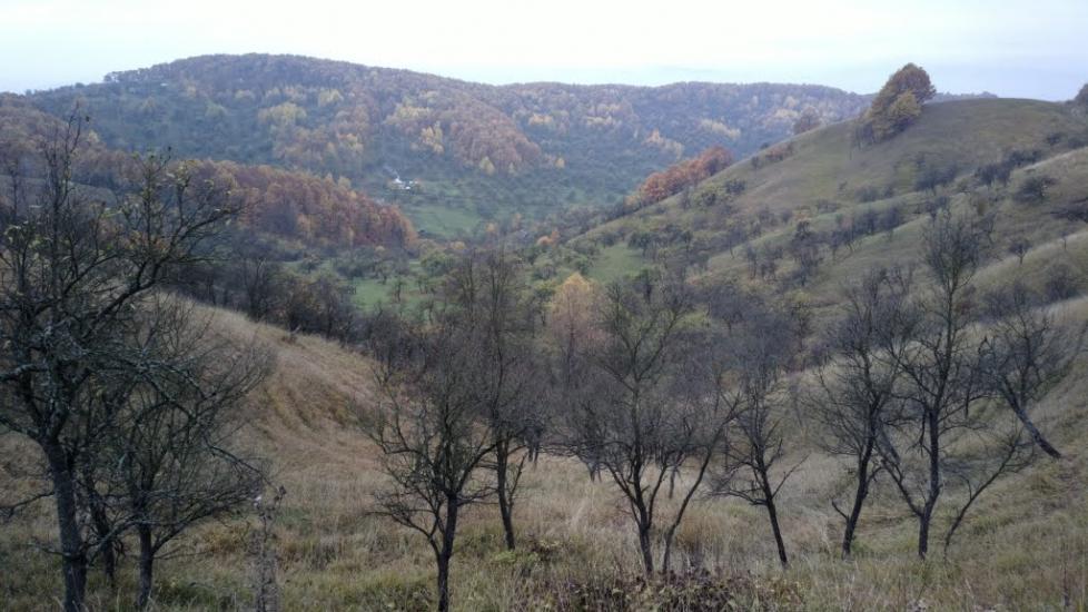 Біла Церква з panoramio.com - Біла Церква