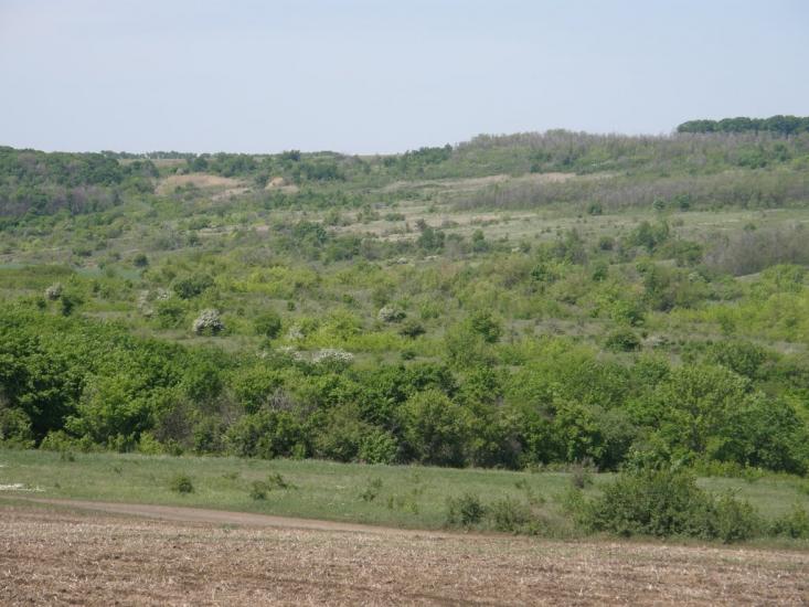 Айдар-Миколаївка з panoramio.com - Айдар-Николаевка