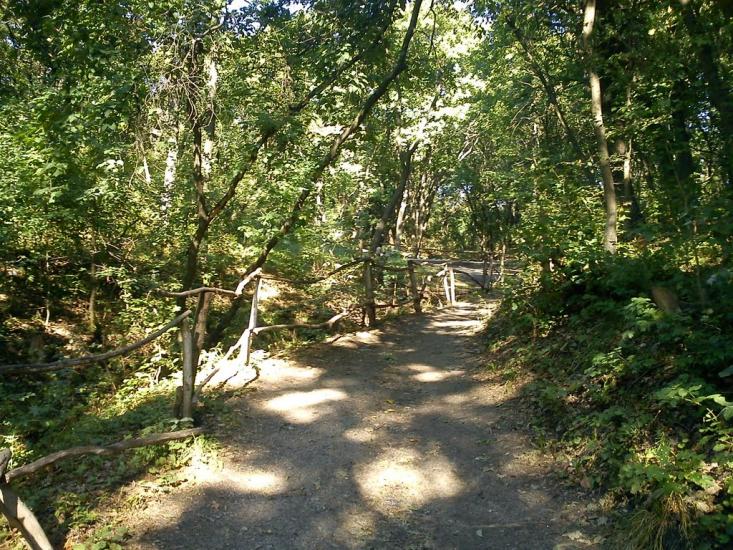 Никонорівка з panoramio.com - Никонорівка