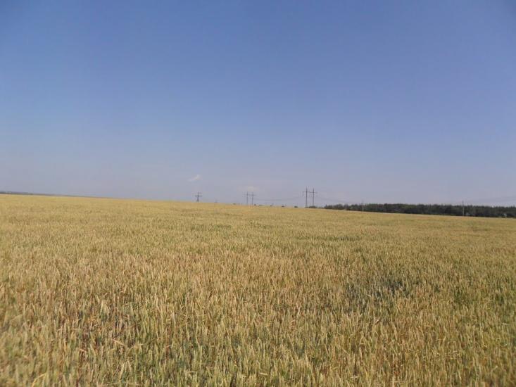 Щербинівка з panoramio.com - Щербинівка