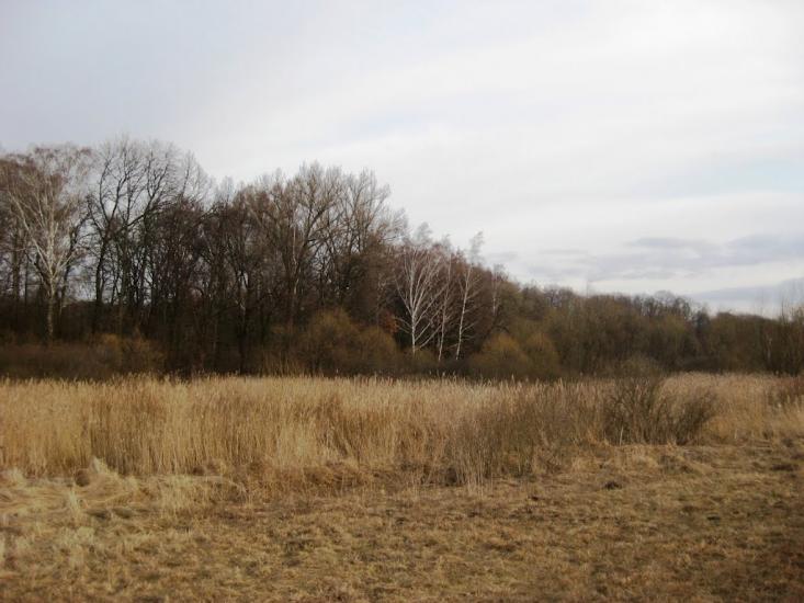 Рубанка з panoramio.com - Рубанка