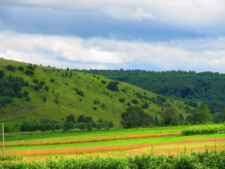 Подусільна з panoramio.com - Подусільна