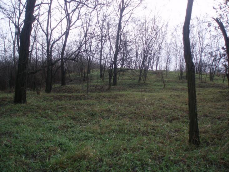 Софіївка з panoramio.com - Софіївка