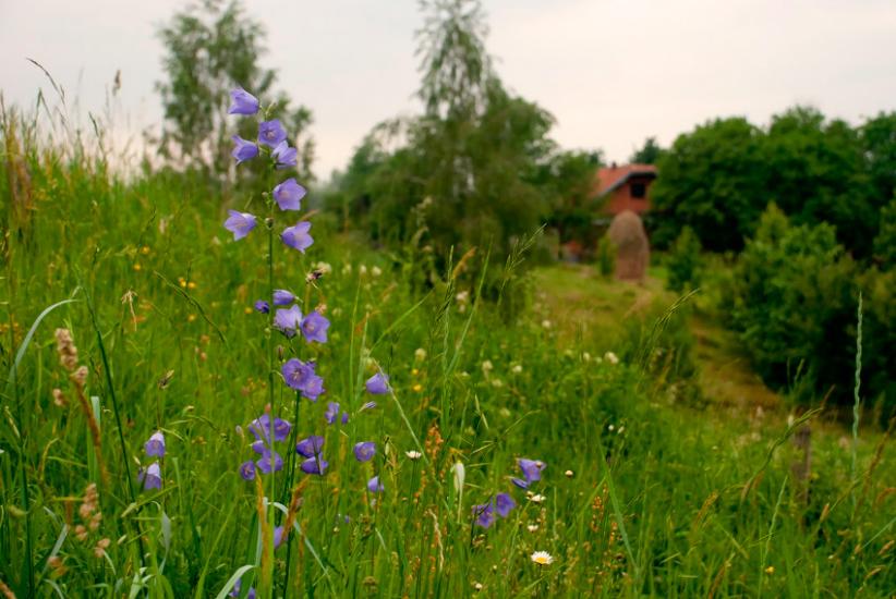 Кийданці з panoramio.com - Кийданці