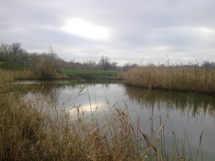Марганець з panoramio.com - Марганец