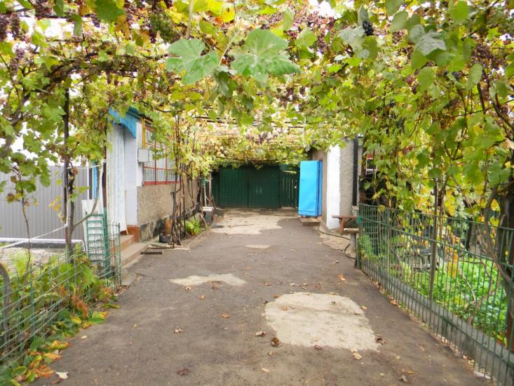 Малокаховка з panoramio.com - Малокаховка