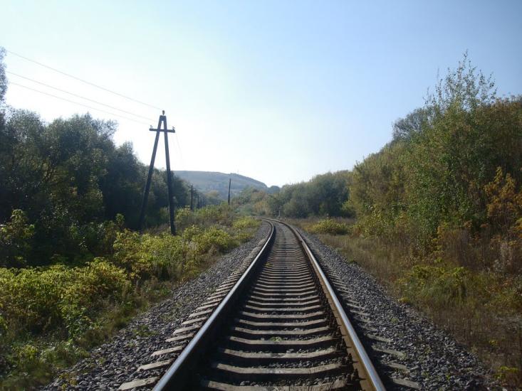 Кутківці з panoramio.com - Кутковцы