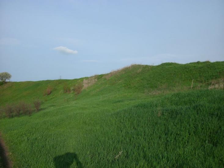 Доброжанове з panoramio.com - Доброжанове