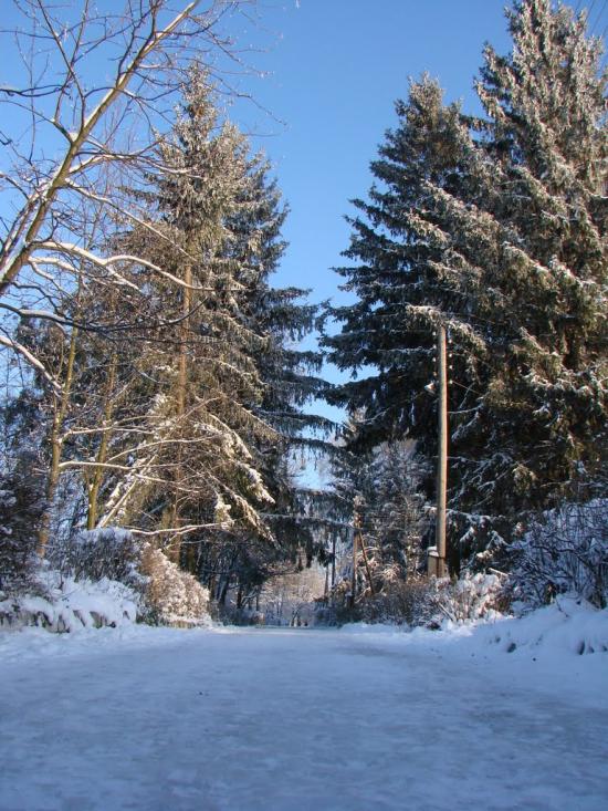 Миропіль з panoramio.com - Мирополь