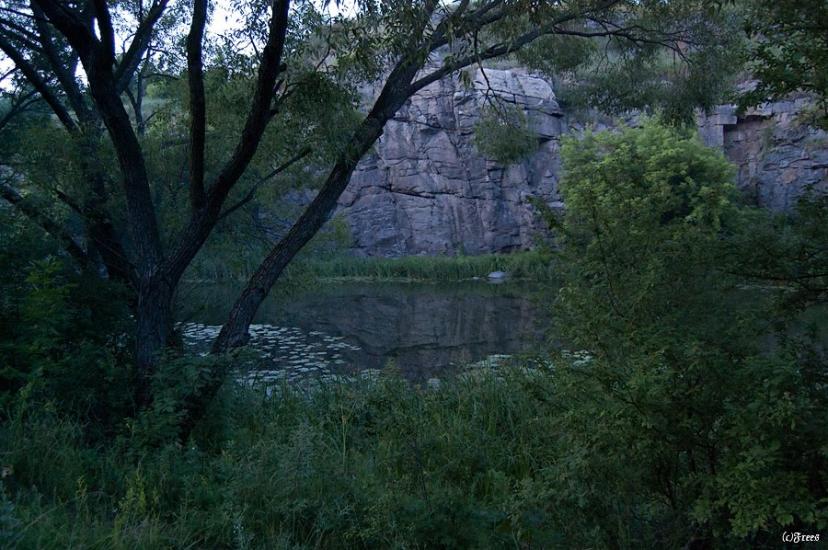 Буки з panoramio.com - Буки