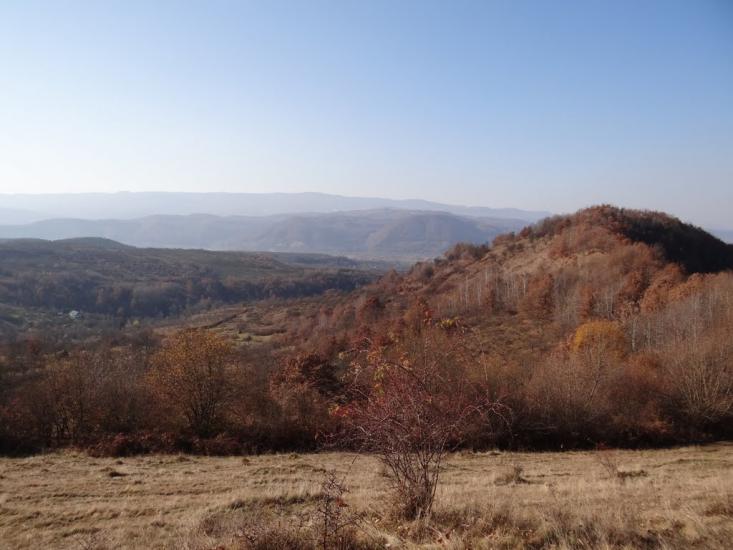 Біла Церква з panoramio.com - Біла Церква