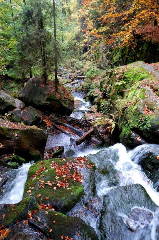 Полянська Гута з panoramio.com - Полянська Гута