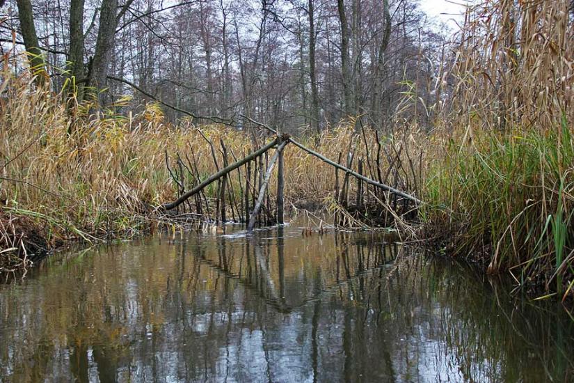 Бережниця з panoramio.com - Бережниця