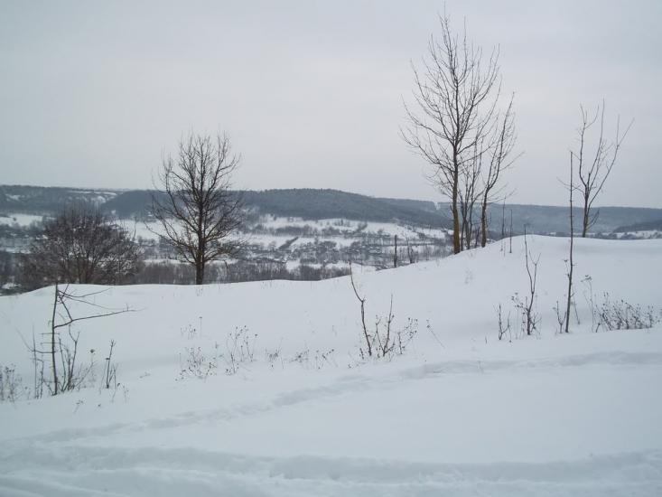 Велика Кужелева з panoramio.com - Велика Кужелева