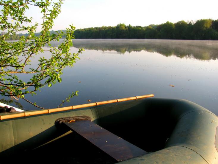 Кокошинці з panoramio.com - Кокошинці