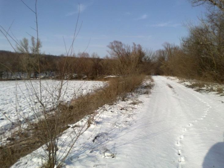 Зайцеве з panoramio.com - Зайцеве