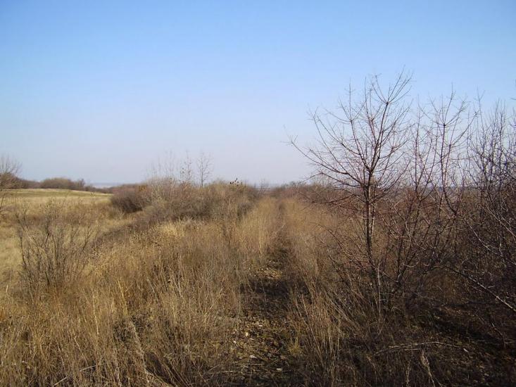 Весняне з panoramio.com - Весняне