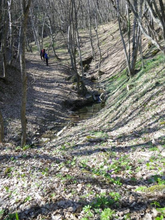 Перевалівка з panoramio.com - Переваловка