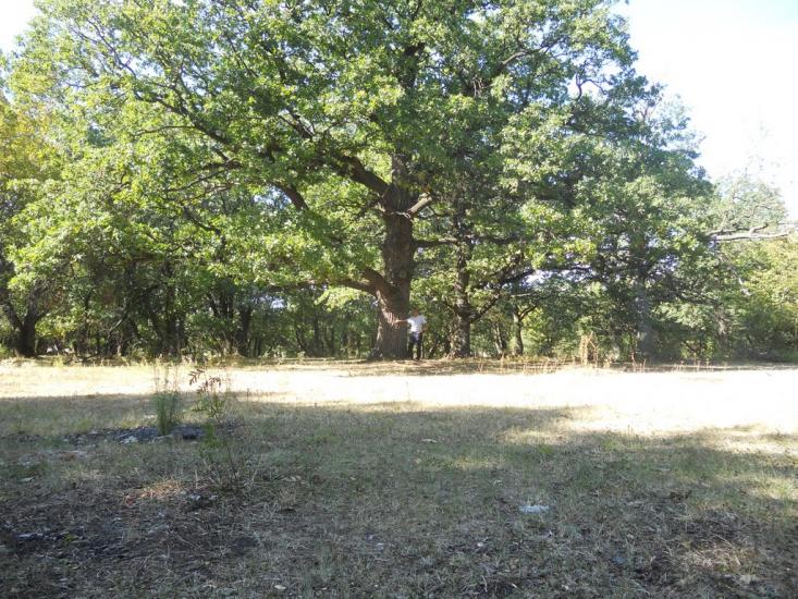 Кочережки з panoramio.com - Кочережки