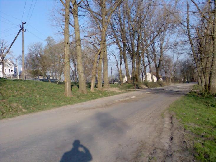 Мавковичі з panoramio.com - Мавковичі