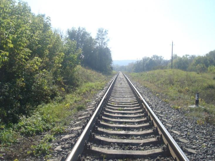 Кутківці з panoramio.com - Кутковцы