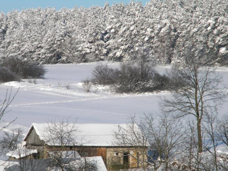 Великі Макари з panoramio.com - Великі Макари