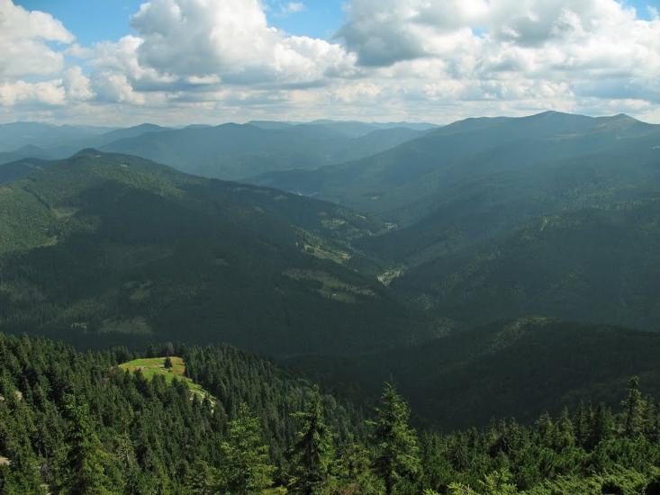 Стригальня з panoramio.com - Стригальня