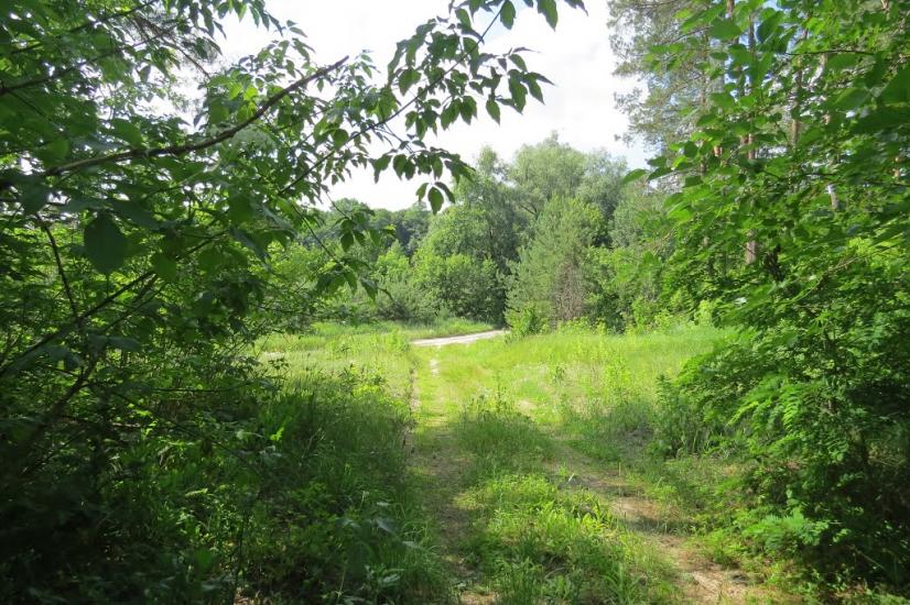 Хрещатик з panoramio.com - Крещатик