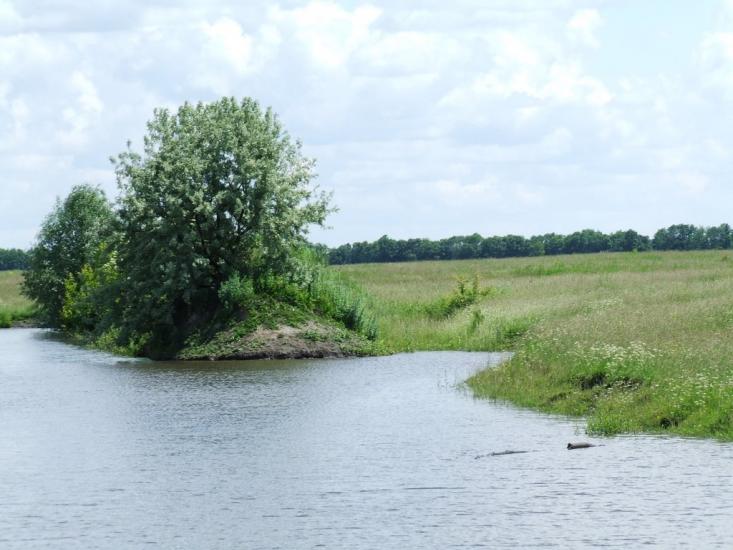 Рубанка з panoramio.com - Рубанка