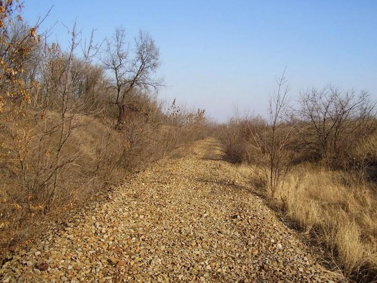 Весняне з panoramio.com - Весняне