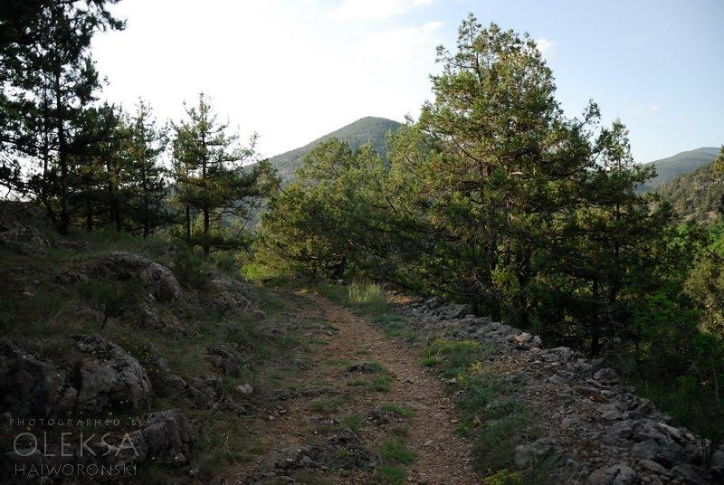 Колхозне з panoramio.com - Колхозное