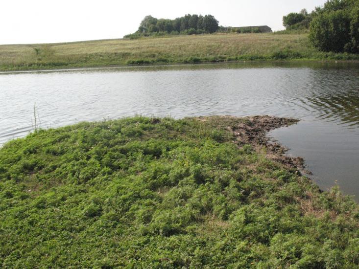 Нова з panoramio.com - Нова