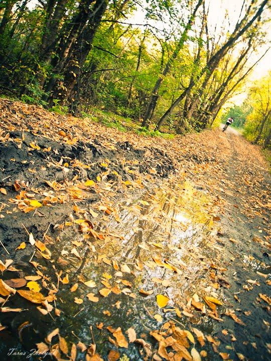Мигія з panoramio.com - Mygiya