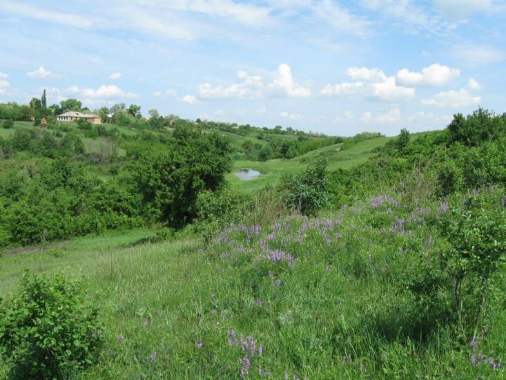 Нова Прага з panoramio.com - Нова Прага