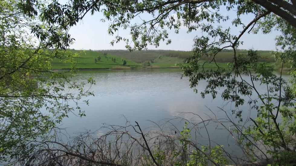 Цибулеве з panoramio.com - Цибулево