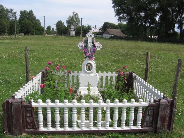 Товстоліс з panoramio.com - Товстоліс