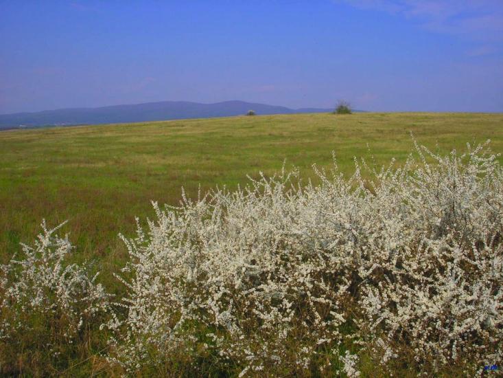 Сторожниця з panoramio.com - Сторожница