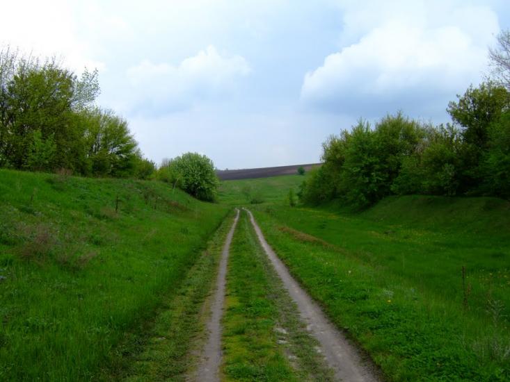 Острів з panoramio.com - Острів
