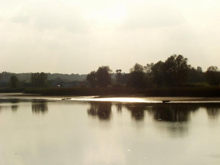 Сущанка з panoramio.com - Сущанка