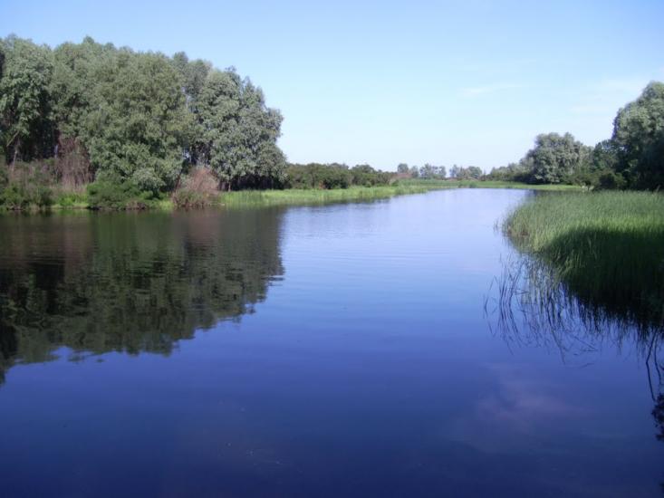Свидівок з panoramio.com - Свидовок