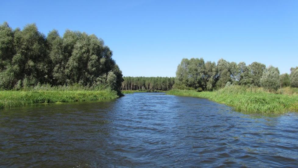 Прохорів з panoramio.com - Прохоров