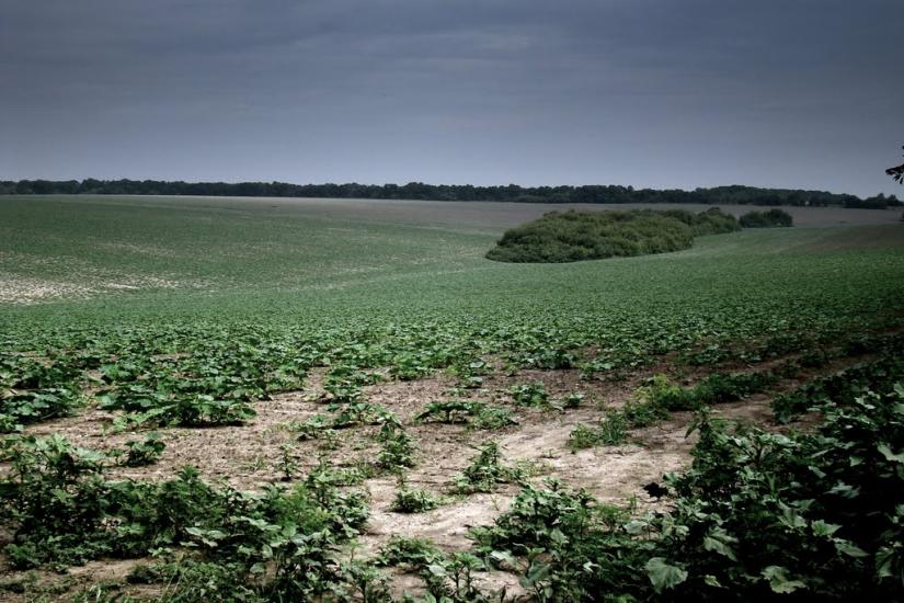 Високогірне з panoramio.com - Высокогорное