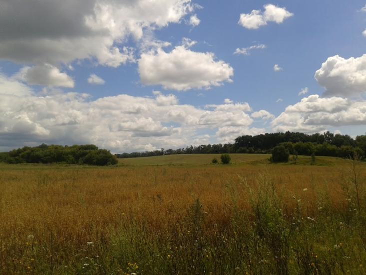 Глибочка з panoramio.com - Глибочка