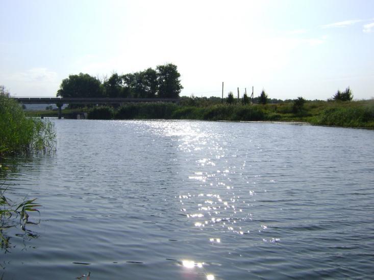 Комар з panoramio.com - Комар