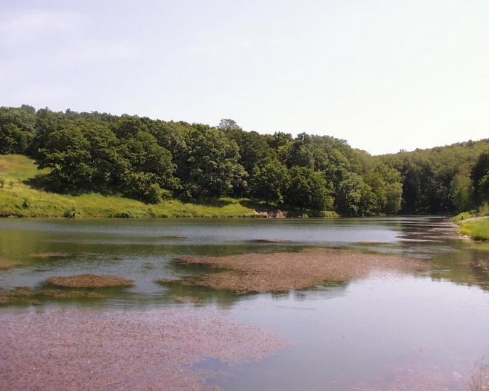 Моначинівка з panoramio.com - Моначиновка