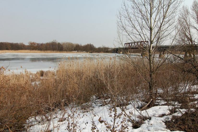 Вільховатка з panoramio.com - Вільховатка