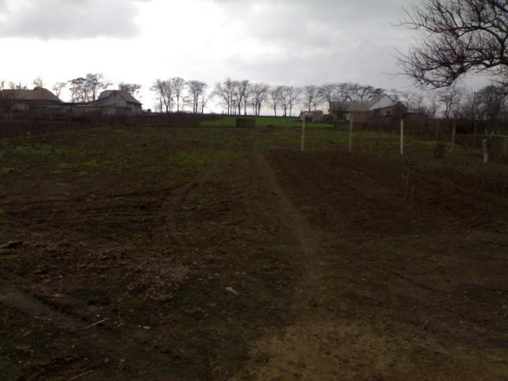 Вільне з panoramio.com - Вільне