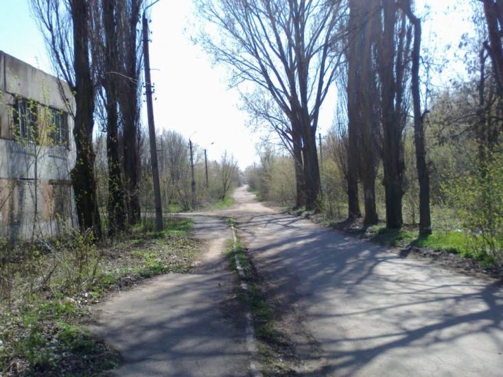 Новгородське з panoramio.com - Новгородське