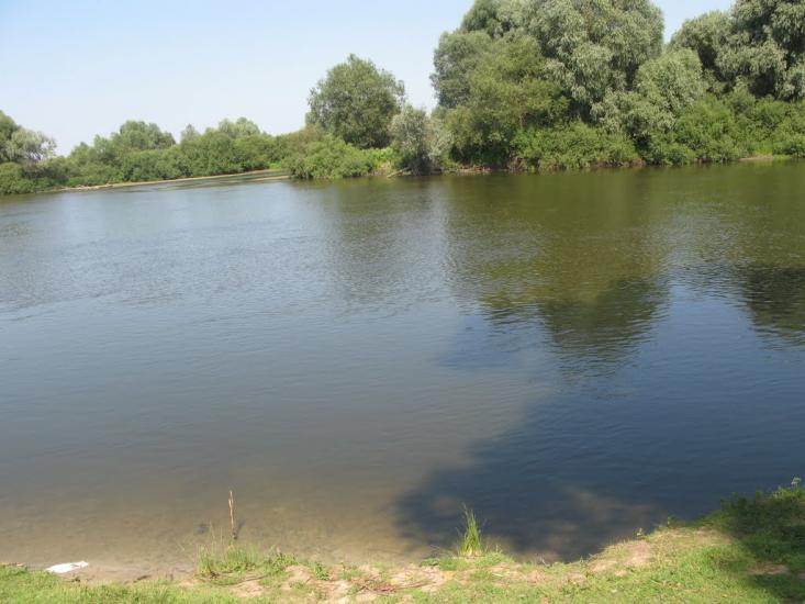 Рогівка з panoramio.com - Роговка