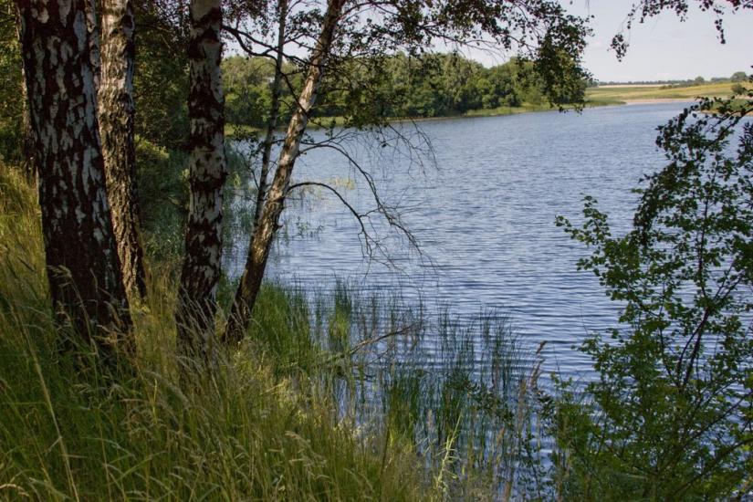 Мохнівка з panoramio.com - Мохновка